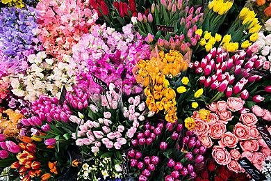 开放世界竞速冒险《乐高2K驾驶》面向全平台公布